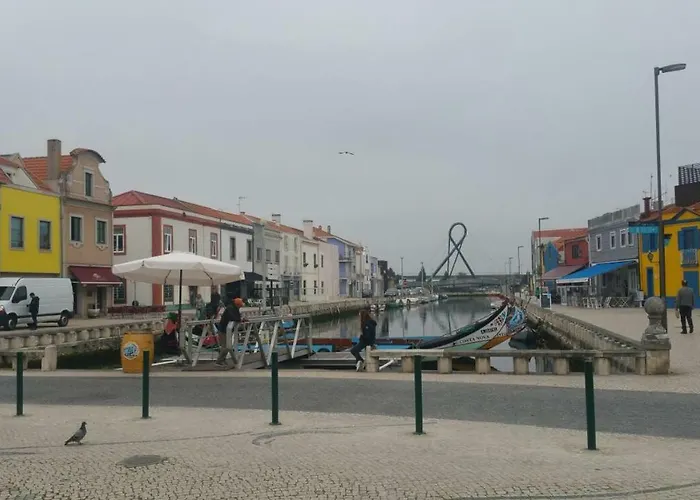 Cagareus